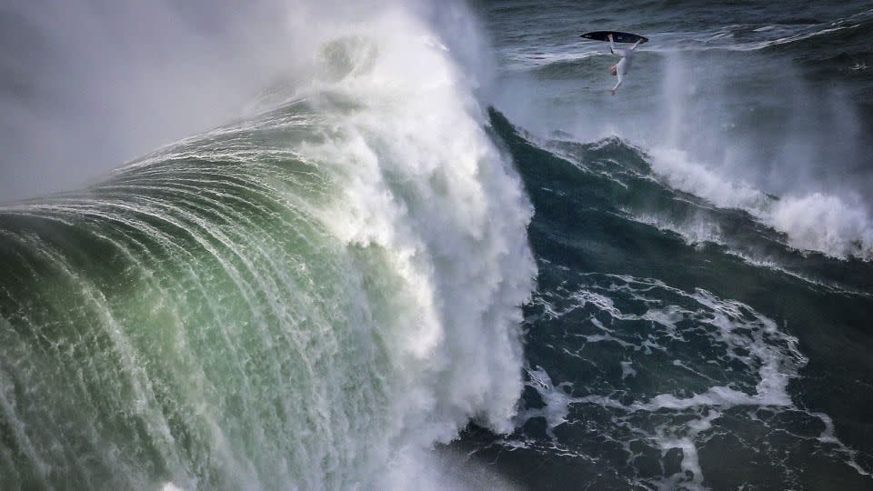 Steudtner in Nazaré, Portugal, on December 14, 2018. - Stefan Matzke/sampics/Corbis Sport/Getty Images