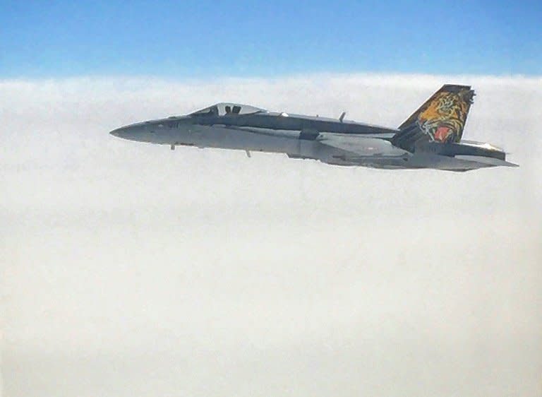 A Swiss Air Force F/A-18 jet flies on June 27, 2016