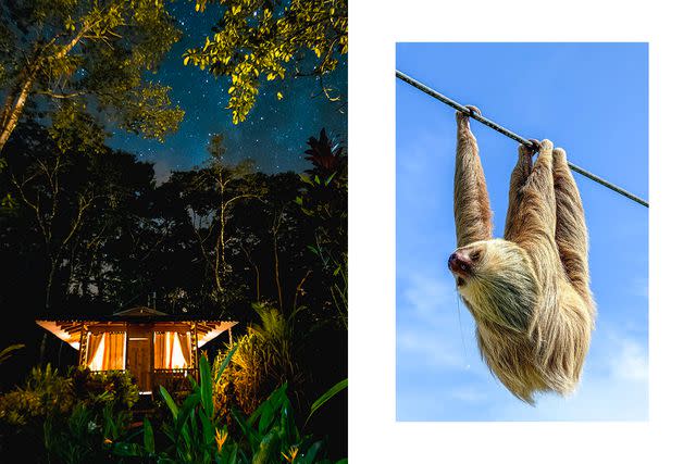 <p>From left: Courtesy of Lirio Lodge; Courtesy of Jen Murphy</p> From left: A night under the stars at Lirio Lodge, the jumping-off point for the author's trip; a sloth seen along the Camino.