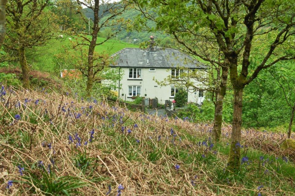 The properties and land up for sale make up the whole of the village  Photo: Dafydd Hardy