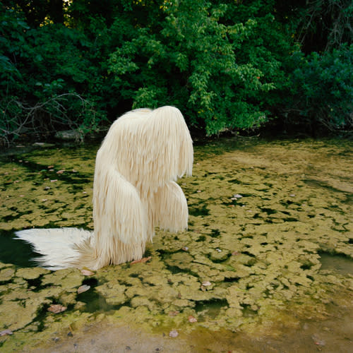 This photo provided by Susi Brister shows work titled "613 Silky Straight in Swamp" by the artist Susi Brister. On Friday, April 23, 2021, The Associated Press reported on stories circulating online that incorrectly claimed the image shows "Lion's Mane mushrooms growing from a swamp" but it actually shows the work of art. (Susi Brister via AP)