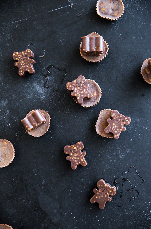 Cacao Bears