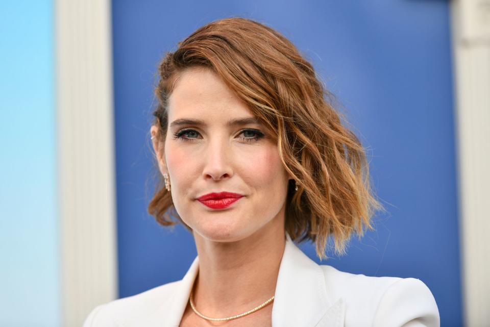 27. Cobie Smulders