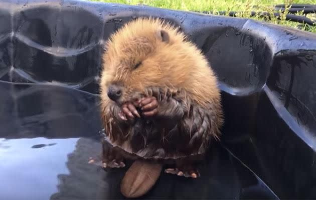 He loves his bath time!