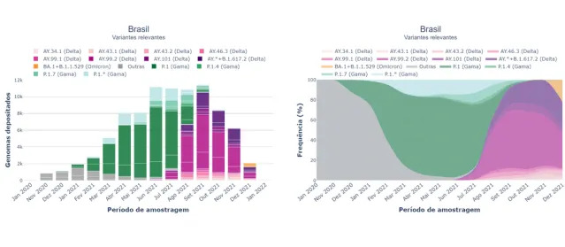 Variante Gama deixa Brasil, abrindo espaço para Delta e Ômicron (Imagem: Reprodução/Rede Genômica/Fiocruz)