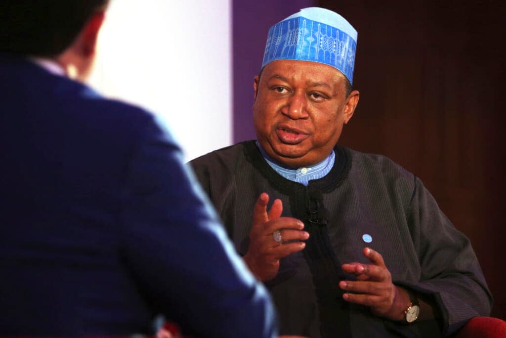 OPEC Secretary-General Mohammad Barkindo speaks at an event in Fujairah, United Arab Emirates on Sept. 18, 2018. (AP Photo/Jon Gambrell, File)