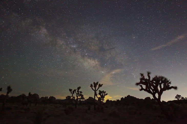 Stargazing Spectacular Milky Way at Lost Horse Trail Joshua Tree
