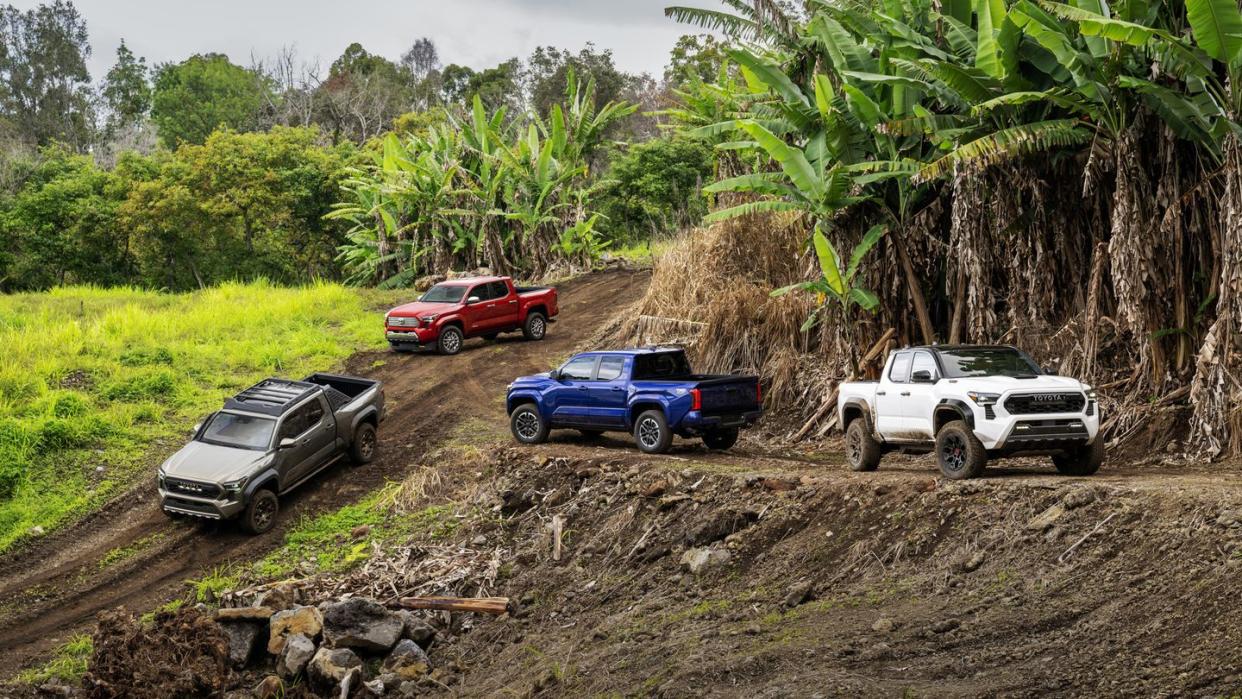 2024 toyota tacoma lineup