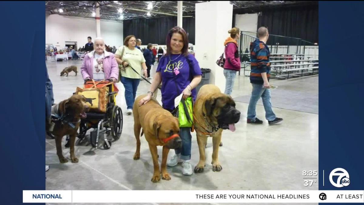 Novi Pet Expo & Rescue Adoption