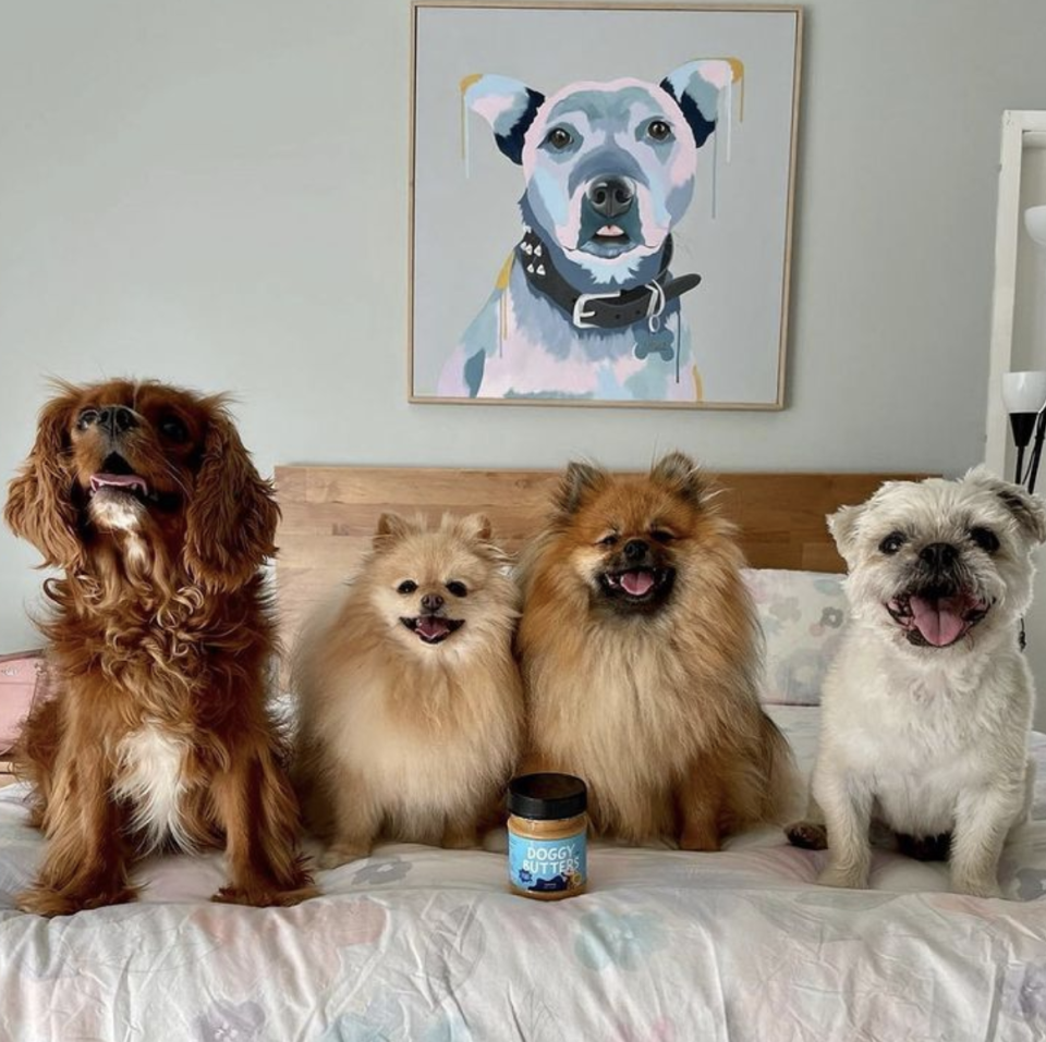 Four dogs on a bed and dog butter product.