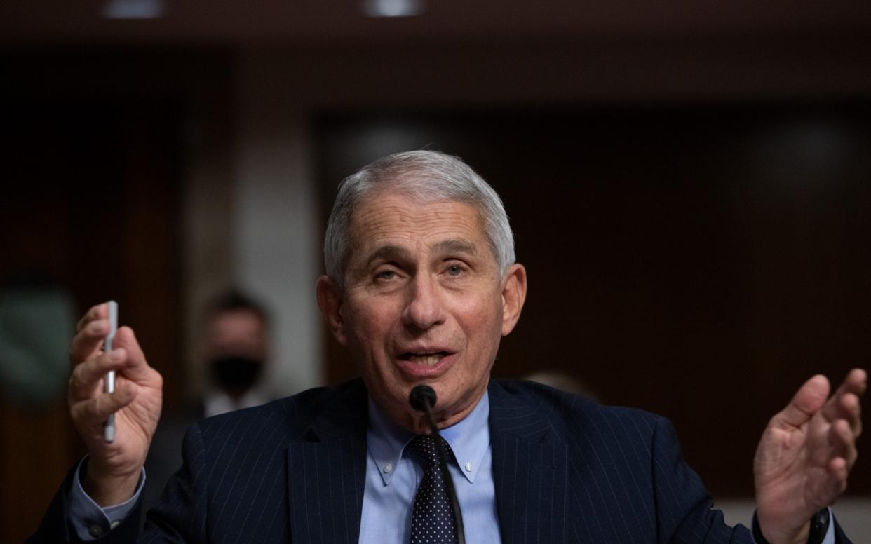 Fauci - Washington Examiner