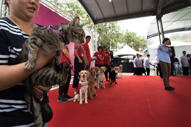 蔡英文上台介紹去年領養的3隻退役導盲犬與「全官邸最兇」的貓咪蔡想想。（總統府提供）