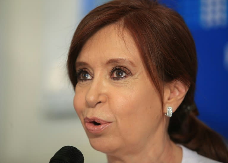 Former Argentine president Cristina Kirchner speaks at a press conference in the National Congress in Buenos Aires on December 7, 2017