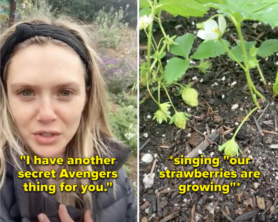 Elizabeth saying, "I have another secret Avengers thing for you" and then singing, "Our strawberries are growing"
