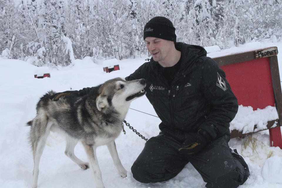 Five-time Iditarod champion Dallas Seavey is shown Feb. 22, 2022, playing with Prophet, one of his lead dogs, at his kennel in Talkeetna, Alaska. Seavey is tied with musher Rick Swenson for the most Iditarod victories ever, and Seavey is looking for his sixth title when the Iditarod Trail Sled Dog Race starts this weekend in Alaska. (AP Photo/Mark Thiessen)