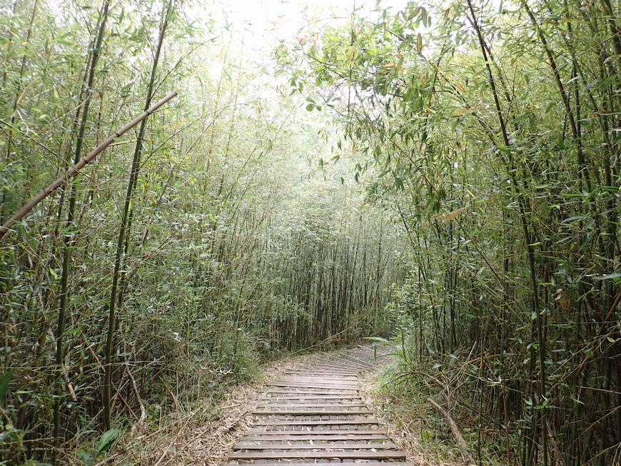 新竹十二寮登山步道