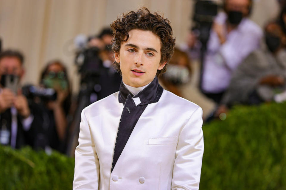 Timothée at the 2021 Met Gala