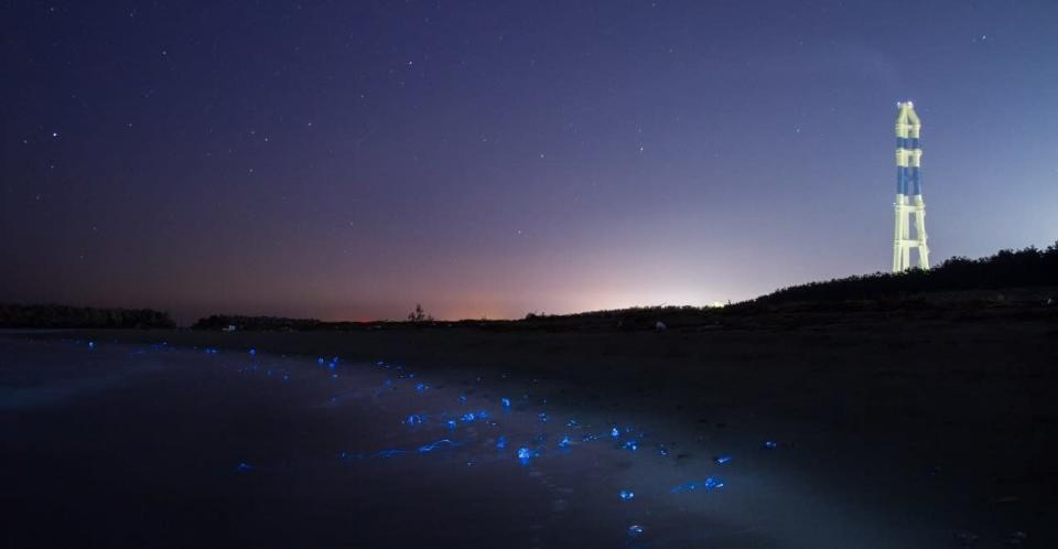 Misteriosa luz azul. Hace un tiempo, Ken Ohki (o ‘Yukison’, según su nombre artístico), tuvo un impulso y decidió acercarse con su cámara a la Bahía de Toyama, en Japón. Sin embargo, lo que nunca imaginó este fotógrafo fue que se convertiría en testigo privilegiado de un fascinante fenómeno natural. 