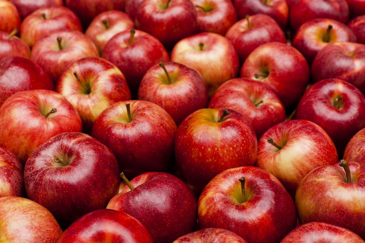 Royal Gala apples in a pile.  All of the apples are red with a slight yellow hue to them.  Several apples sit at an angle or on their side, while others sit perfectly straight.  There almost forty apples in view.