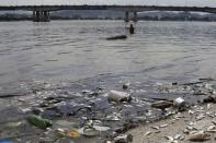 Dead fish lie on the shore of Guanabara Bay in Rio de Janeiro, Brazil January 13, 2016. REUTERS/Ricardo Moraes