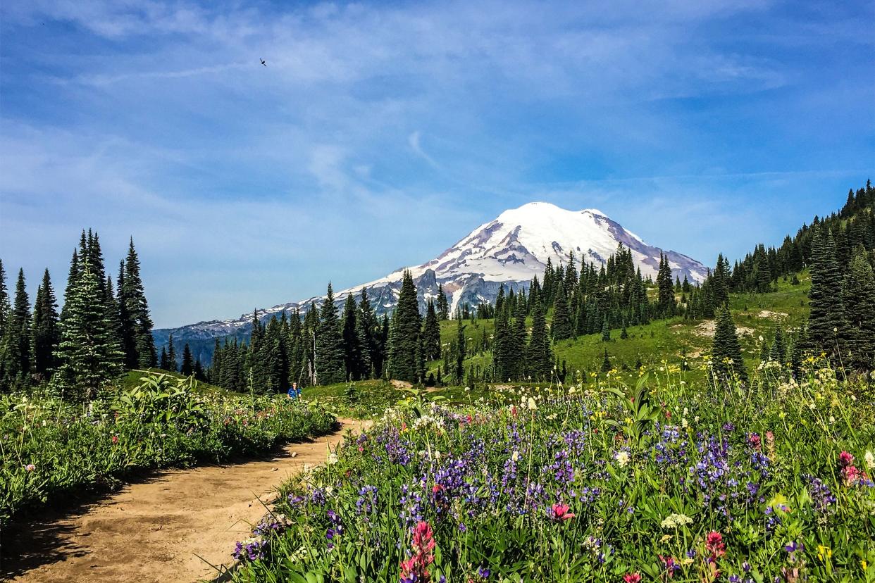 Mount Rainier National Park