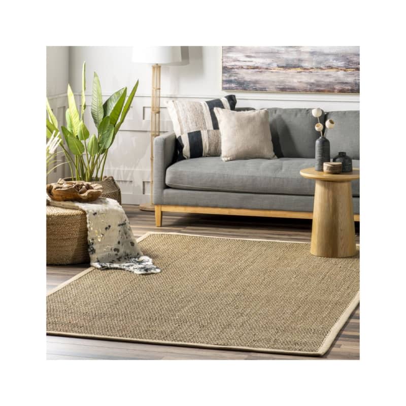 Beige Seagrass with Border Area Rug, 4' x 6'