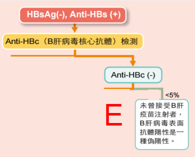 若未曾接受B肝疫苗注射,其血中之表面抗體陽性Anti-HBs (+)可能是檢驗錯誤而導致之偽陽性反應。