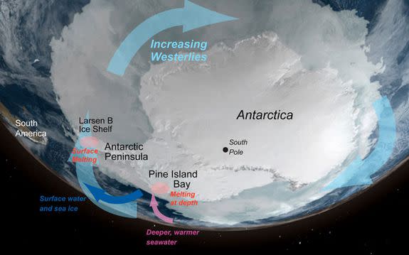 The increasing polar westerlies driving warmer waters into Antarctica's glaciers.