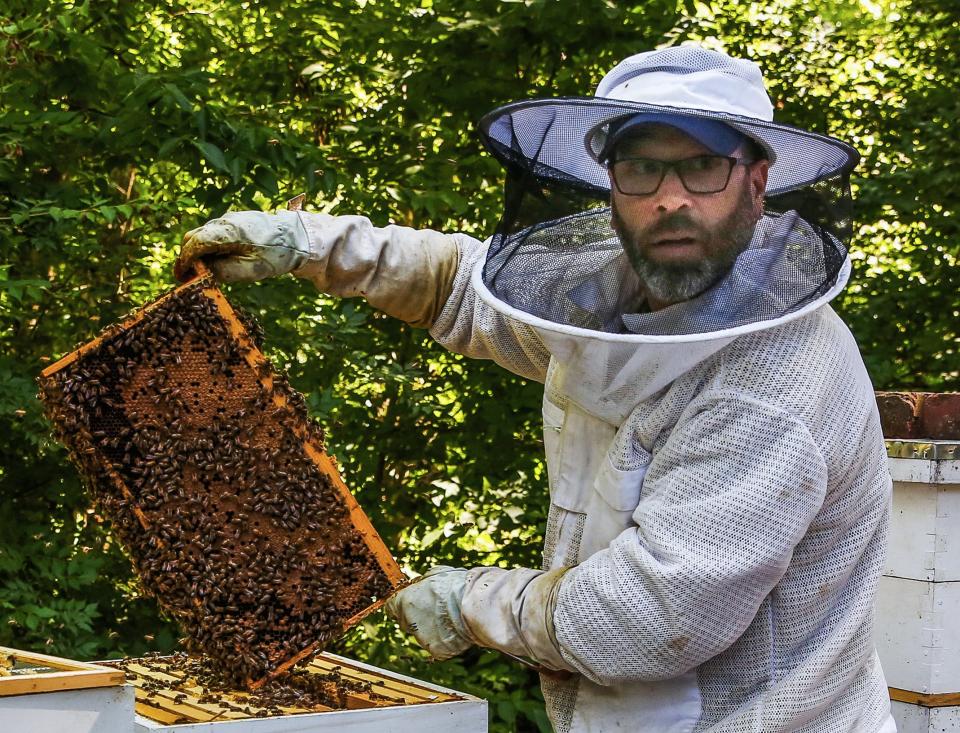 Cave Hill Cemetery head arborist/lead bee keeper Roger Martin, works with bees while at Cave Hill Cemetery in Louisville on June 29, 2022.