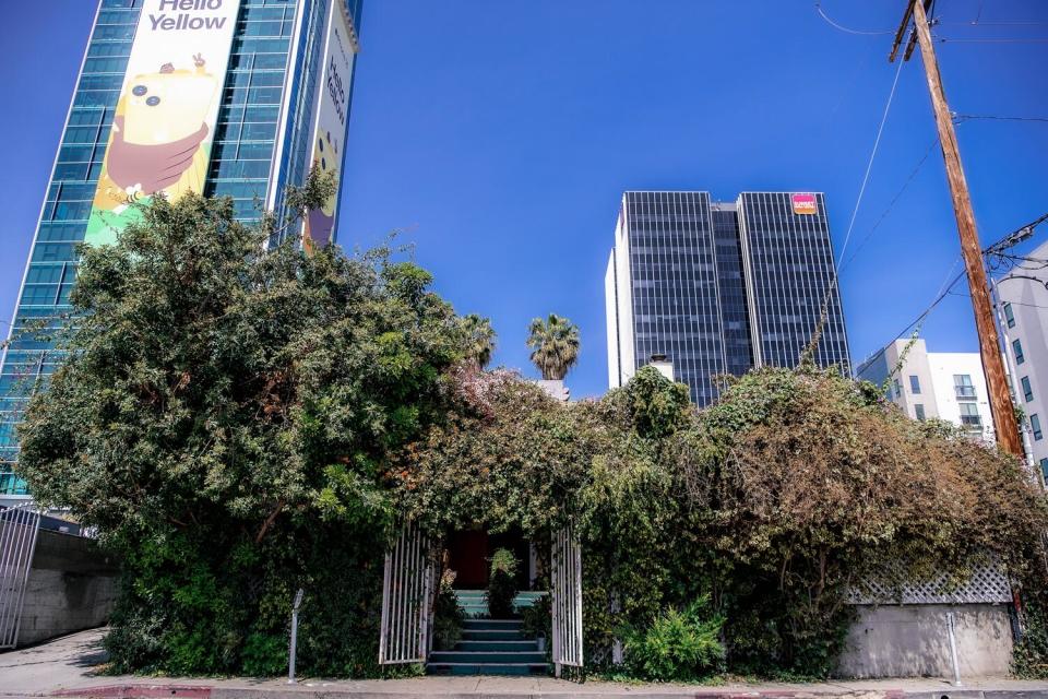 A tree-shrouded small house with skyscrapers behind it