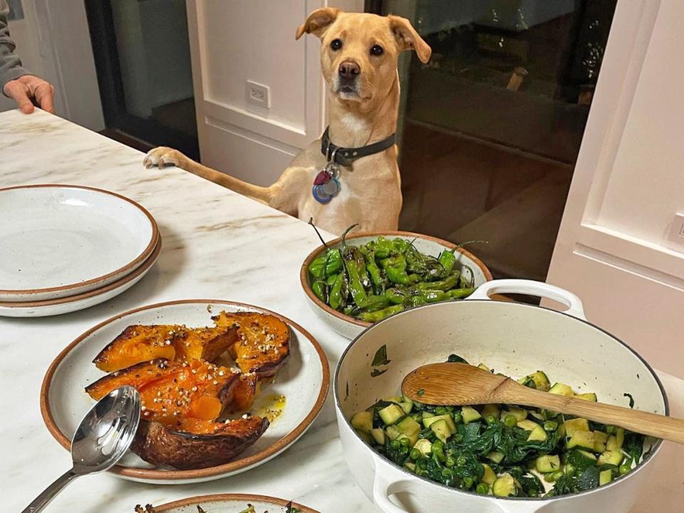 Lauren Singer's dinner with her dog standing on the counter