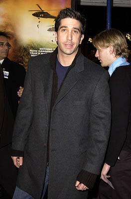 David Schwimmer at the Westwood premiere of Collateral Damage