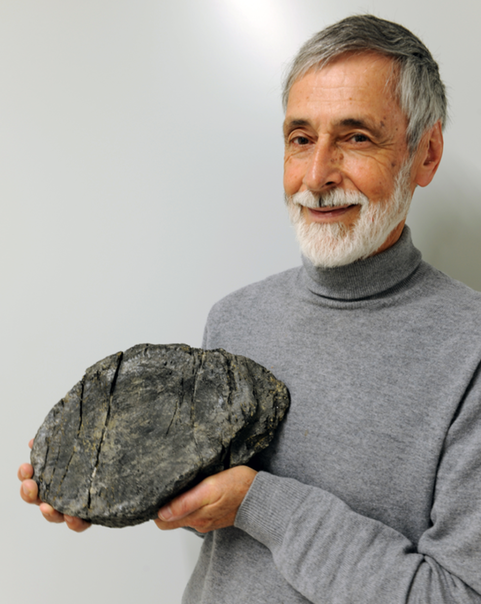 Study co-author Heinz Furrer with the largest ichthyosaur vertebra (Heinz Furrer)