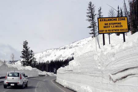 FILE PHOTO: A car travels the newly plowed east entrance road over Sylvan Pass shortly after the park opened in in Yellowstone National Park, Wyoming, U.S. in May 2011. REUTERS/Ruffin Prevost/File Photo