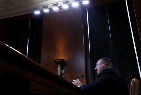 U.S. Secretary of State Mike Pompeo testifies before a Senate Appropriations Subcommittee hearing on the proposed budget estimates and justification for FY2019 for the State on Capitol Hill in Washington, U.S., June 27, 2018. REUTERS/Leah Millis