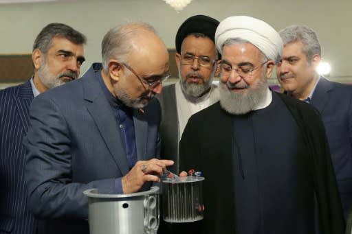 Salehi shows nuclear equipment to Iranian President Hassan Rouhani during "nuclear technology day" in Tehran earlier this year