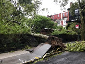 A tree uprooted by high winds lays on a fence in Brooklyn Heights Tuesday, Aug. 4, 2020, in New York as Tropical Storm Isaias is expected to hit the Northeastern U.S. (AP Photo/David Crary)