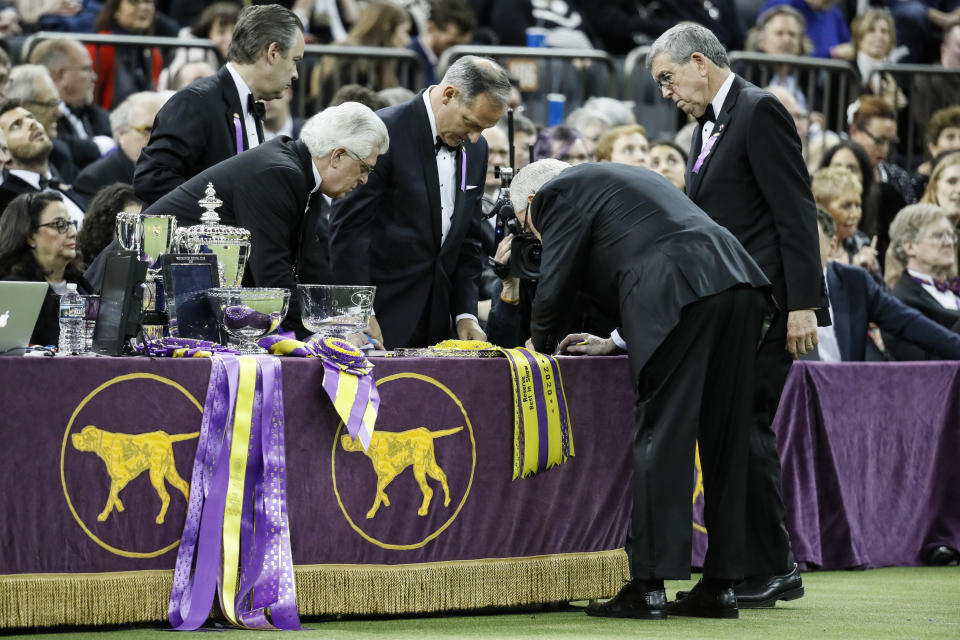 FILE - Judges convene for the Best in Show contest during 144th Westminster Kennel Club dog show, Tuesday, Feb. 11, 2020, in New York. To the casual viewer, competing at the Westminster Kennel Club dog show might look as simple as getting a dog, grooming it and leading it around a ring. But there's a lot more to getting to and exhibiting in the United States' most prestigious canine event. (AP Photo/John Minchillo, File)