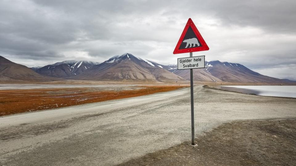 A polar bear warning sign in the Arctic.