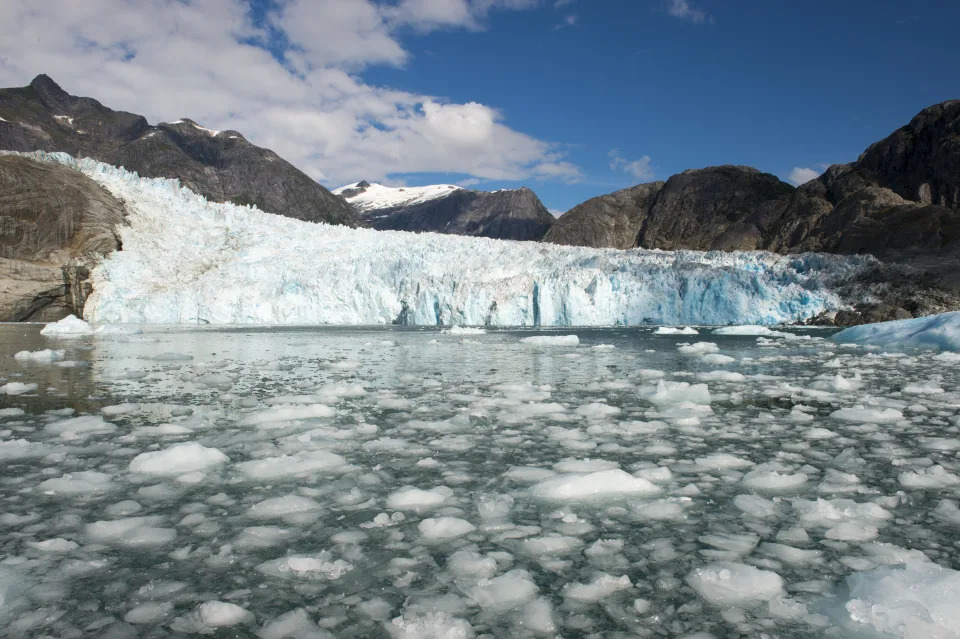 The uncanny blue face of the melting LeConte Glacier, with a swill of broken ice chunks in front of it.