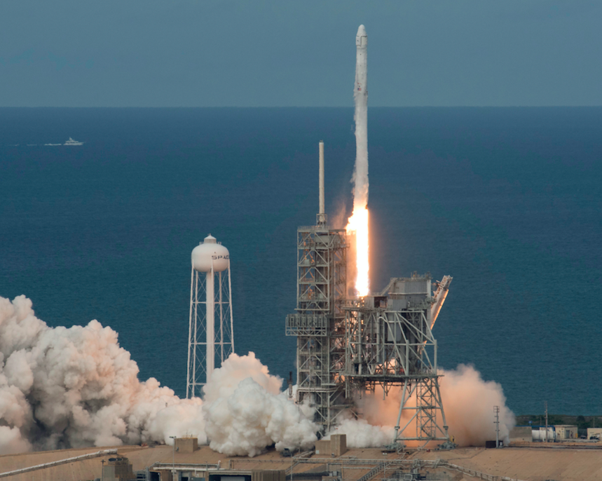 The worm was one of a group that traveled on a SpaceX rocket in January 2015. Photo: AP images