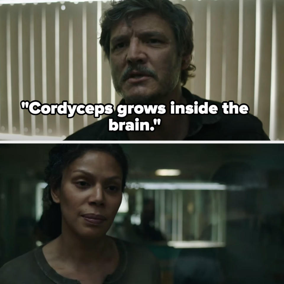 Joel saying "Cordyceps grows inside the brain" and Marlene's deadpan face