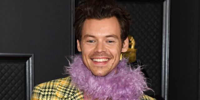 Harry Styles Wore A Second Feather Boa Look At the Grammys and I May Not  Survive This Thirst