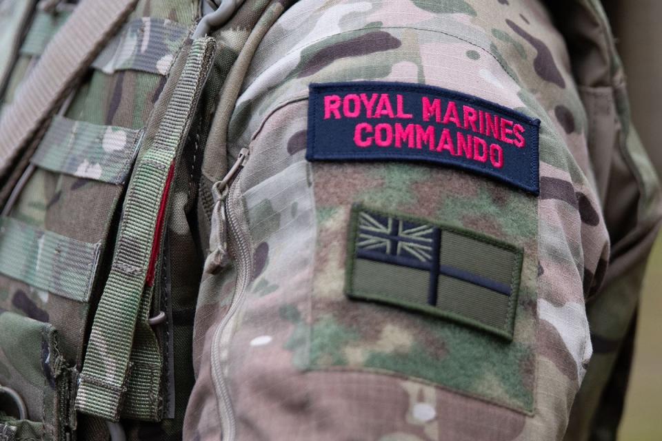 Royal Marines badge (Andrew Matthews/PA) (PA Archive)