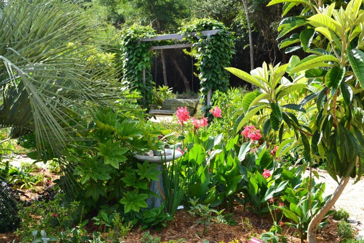 Gardens that resemble tropical destinations have become a popular trend during the pandemic.