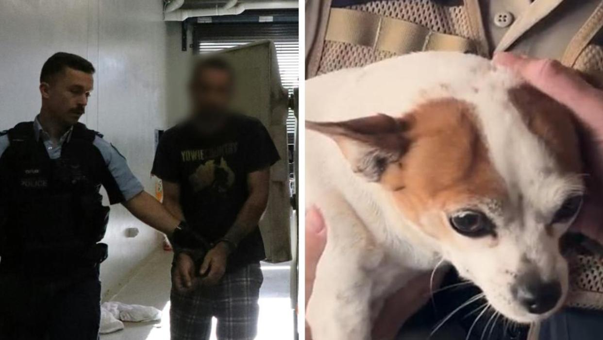 A man who police allege is the most prolific animal abusers has been arrested. Picture: NSW Police