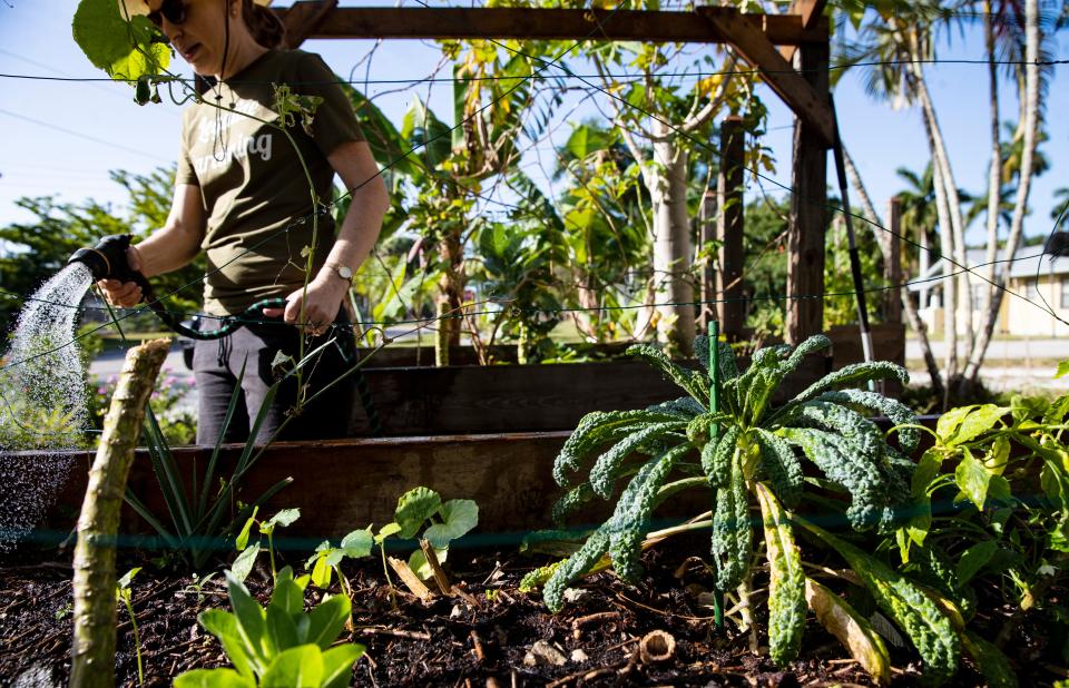 Sara Burke, a resident of Dean Park in Fort Myers, waters her cottage garden on April 22. The City of Fort Myers code enforcement has been warning her about her garden saying that some of it is unsafe due to organic accumulation in the event of a hurricane. She feels she is being targeted because of the look of her garden. However, code enforcement decided the case was resolved on Tuesday and canceled a planned hearing.