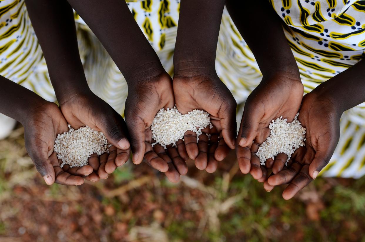 Rising temperatures are linked to decreases in diet diversity (Getty Images/iStockphoto)