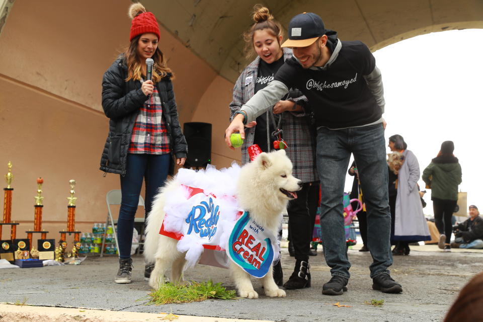 NYC pups in cute and creative costumes for annual Halloween Dog Parade