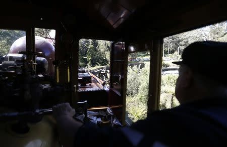 Puffing Billy steam engine driver Steve Holmes, 61, drives locomotive 12A across the Monbulk Creek trestle after leaving Belgrave station near Melbourne, October 20, 2014. REUTERS/Jason Reed